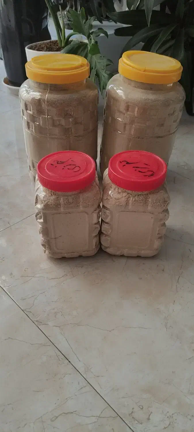 حلزون پرورشی|خزنده|اصفهان, بهارستان (مخابرات)|دیوار