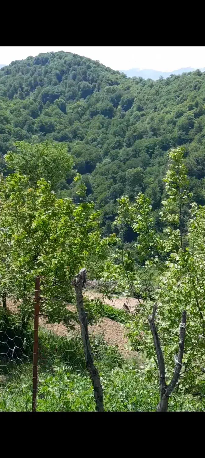 فروش یک قطعه زمین به مساحت ۲۱۰|فروش زمین و ملک کلنگی|فریم, |دیوار