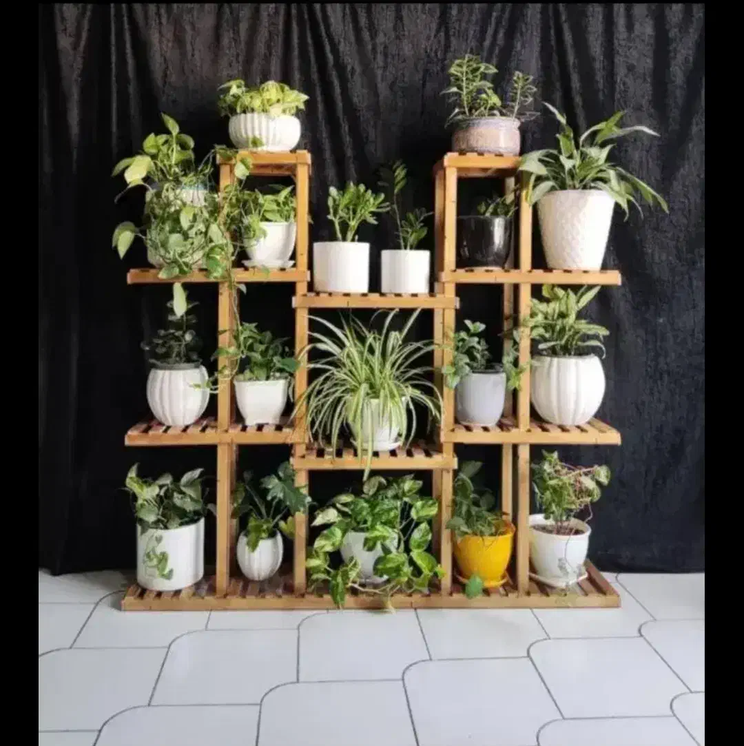 تولید استند گل رگال چوبی|گل و گیاه طبیعی|فردیس, شهرک شهید حسینی|دیوار