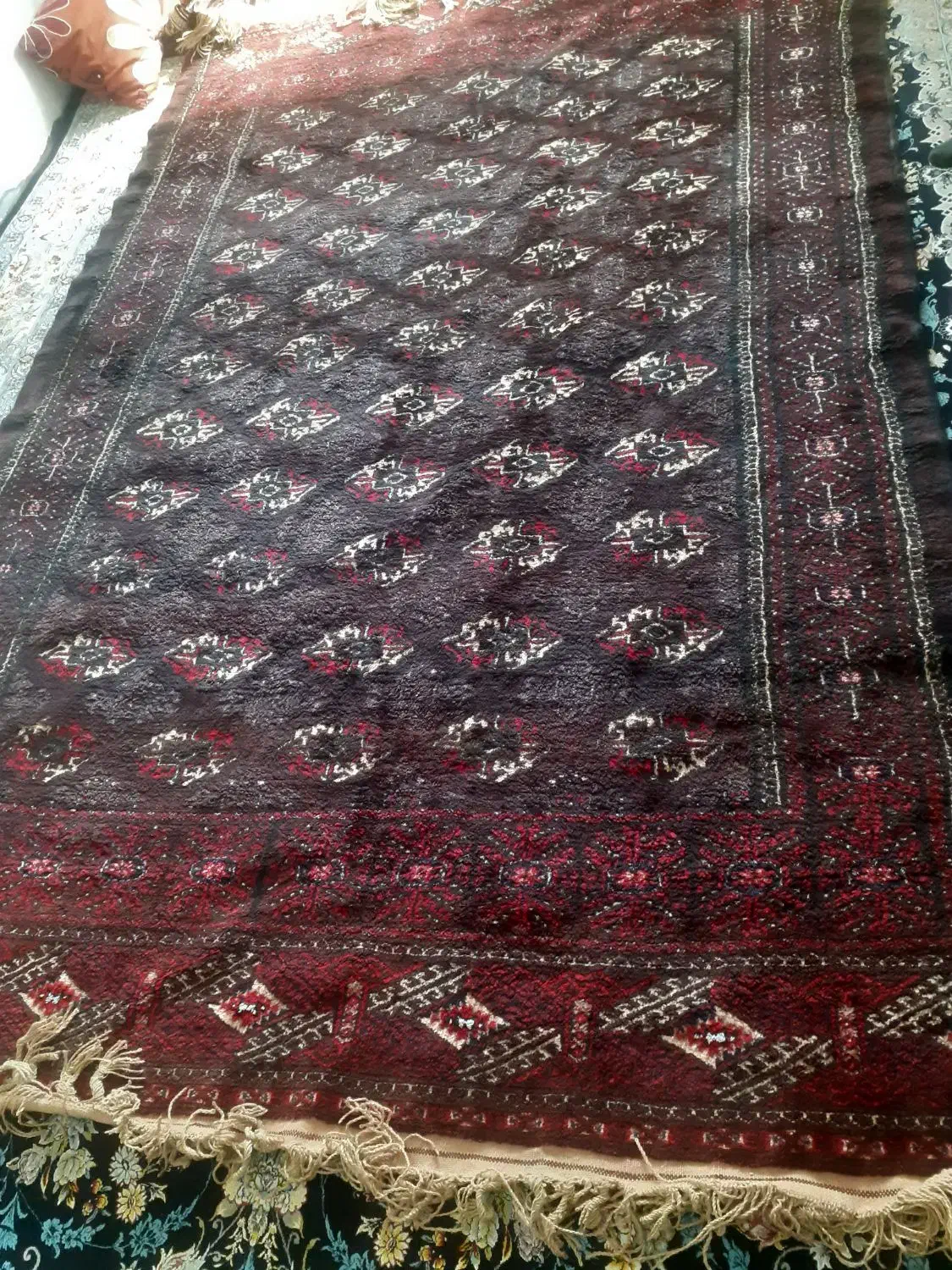 فرش ترکمنی پشم با ۶۰ سال سابقه|فرش|تاتار علیا, |دیوار