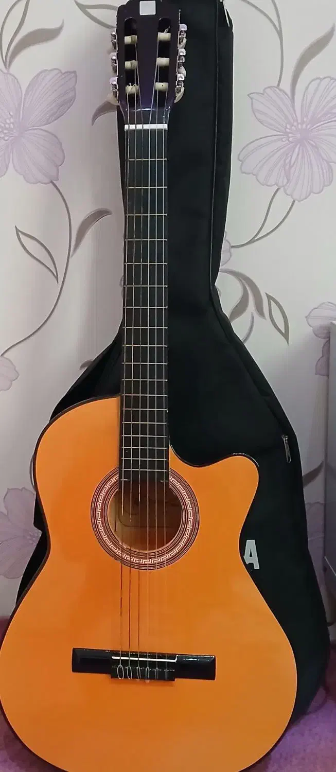 گیتار|گیتار، بیس، امپلیفایر|زنجان, |دیوار