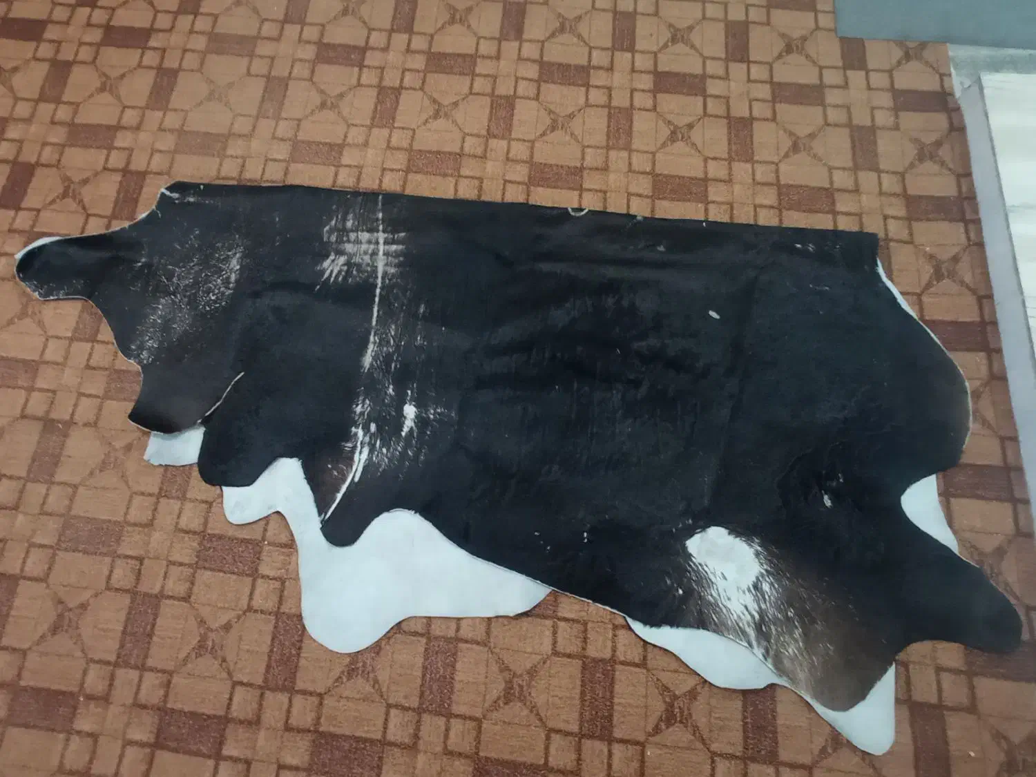 پوست چرم طبیعی گاو|کیف، کفش، کمربند|مینودشت, |دیوار