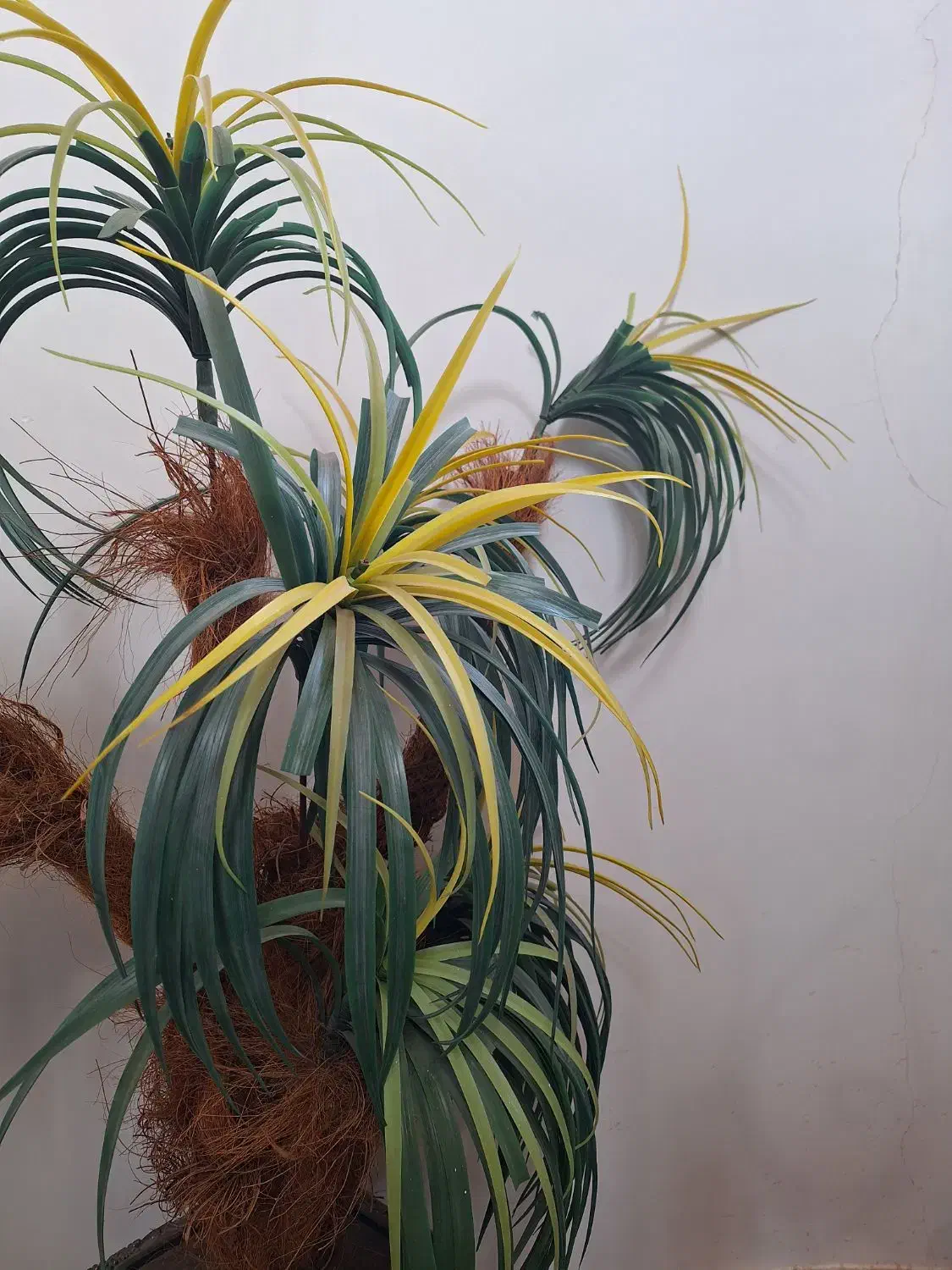 گل تزیینی درخت نخل|گل مصنوعی|تبریز, |دیوار