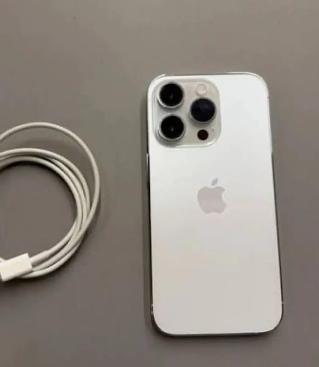 iphone 13 pro max|موبایل|شیراز, گلشن|دیوار