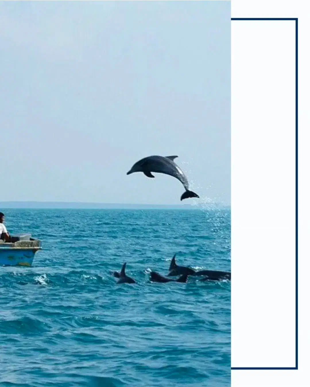 تورقشم،هنگام|تور و چارتر|شیراز, تحویلی|دیوار