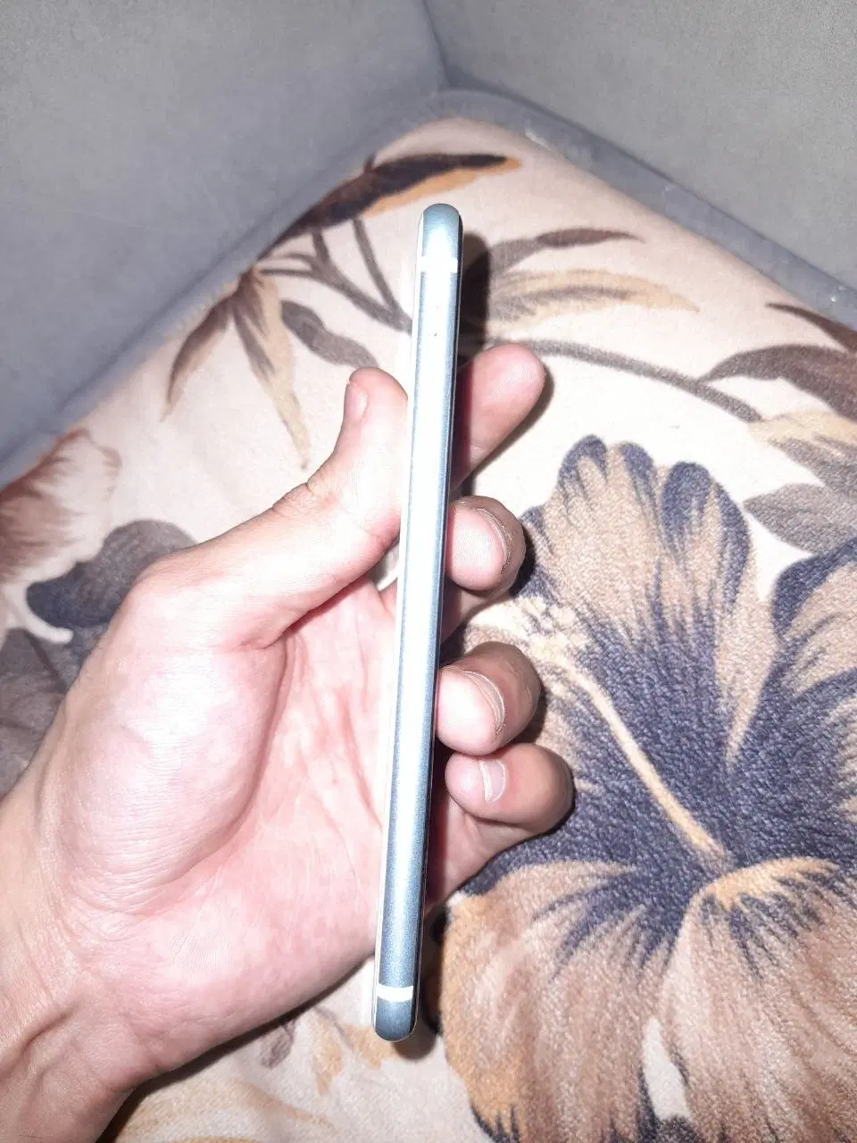 iphone se 2020|موبایل|پرند, فاز ۵|دیوار