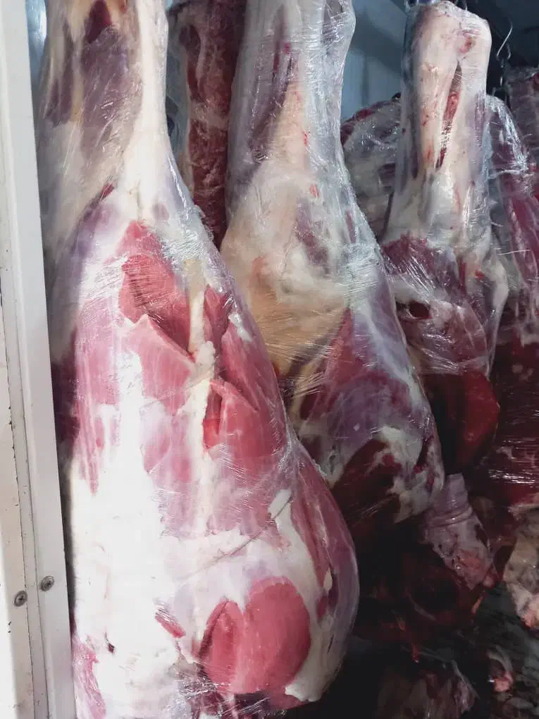 تهیه وتوضیع انواع گوشت گوسفند گوساله شتر شتر مرغ|خوردنی و آشامیدنی|شیراز, سیاه سنگ|دیوار