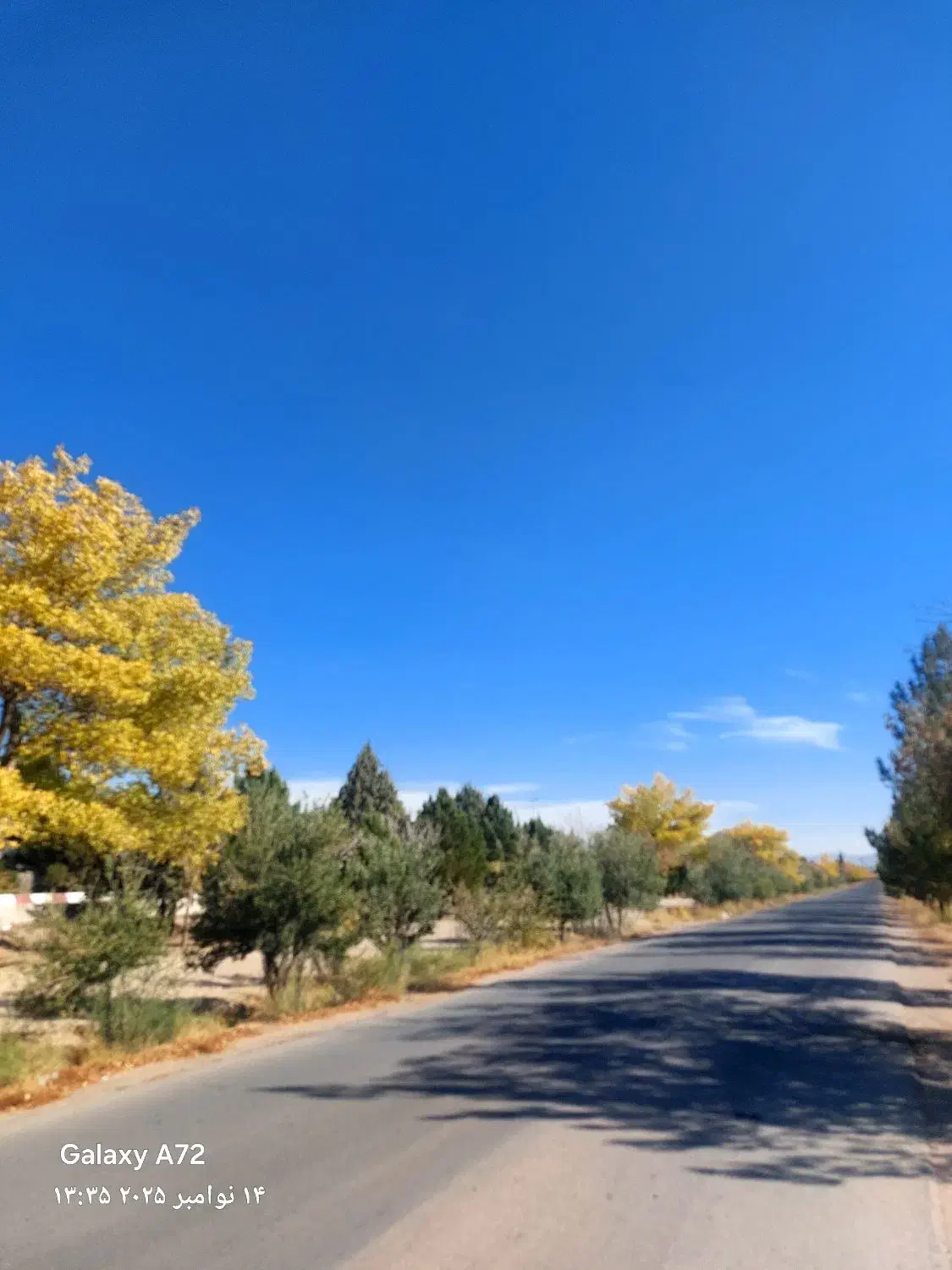 کلید دار ویلا استخر دار .در هفت باغ،ابیاری و هرس|خدمات باغبانی و درختکاری|ماهان, |دیوار