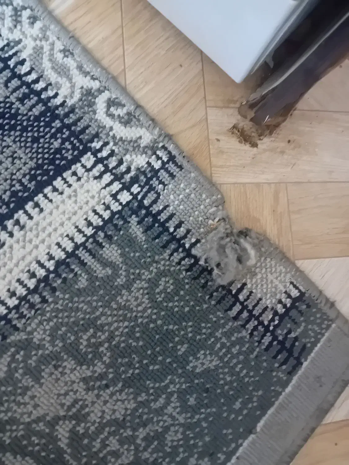 گلیم|گلیم، جاجیم، گبه|اسلام‌شهر, شهرک مفیدی|دیوار