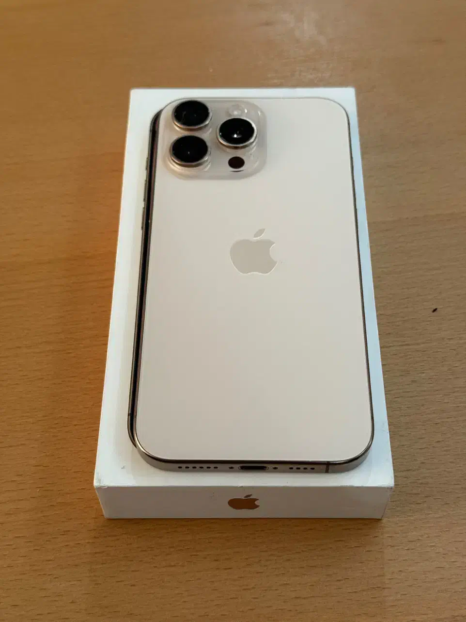 iPhone 16 pro max 256 2 sim|موبایل|شیراز, پارک آزادی|دیوار