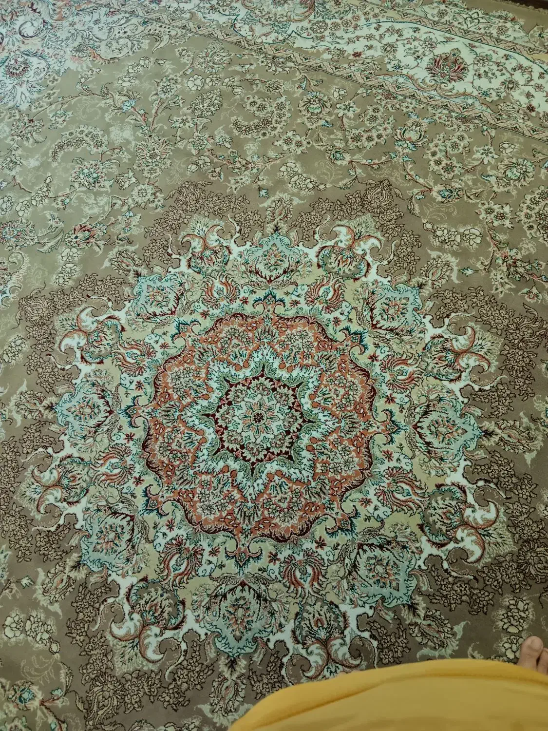 فرش|فرش|تهران, تختی|دیوار