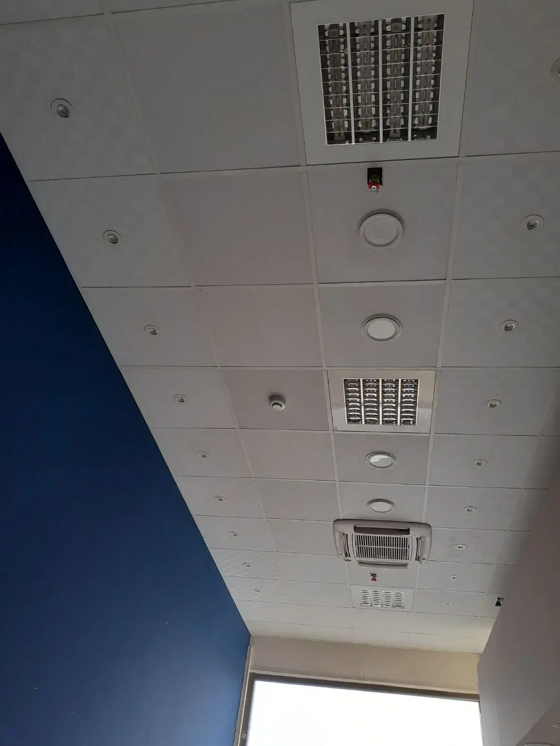 مغازه ء فروشی  تکمیل و فعال|فروش مغازه و غرفه|قم, چهل درخت‎|دیوار