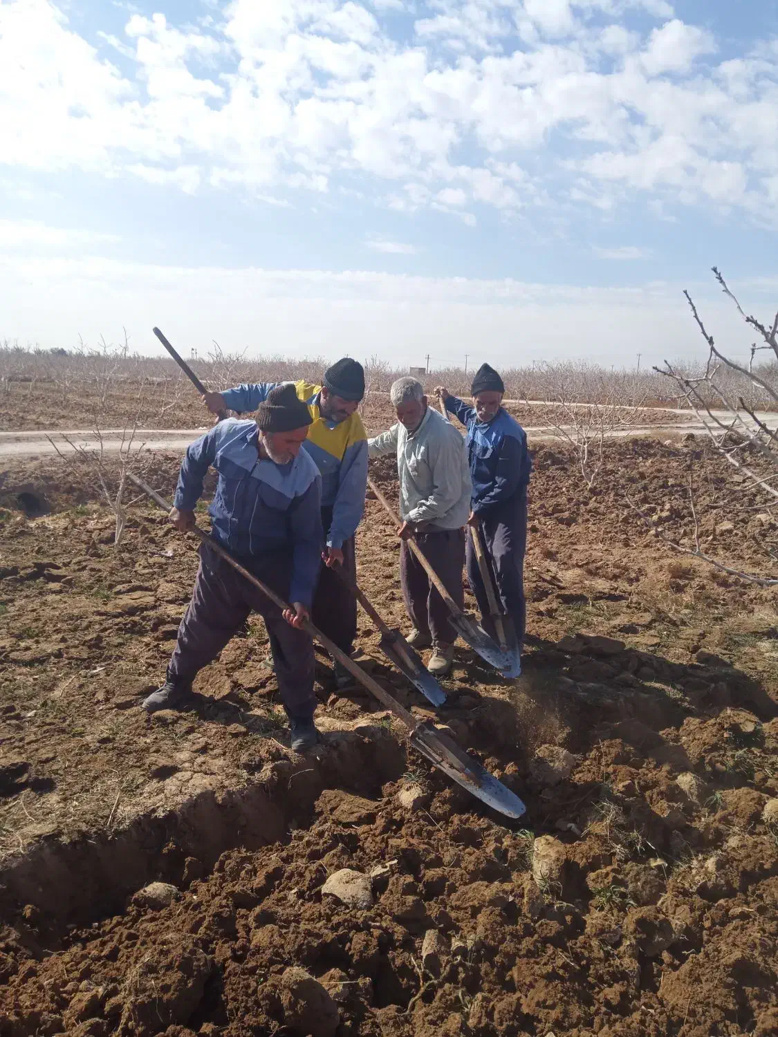 کار کر برای گشاورزی سر چاه و کارکر برای کار غیر|استخدام معماری، عمران و ساختمانی|اردکان, |دیوار