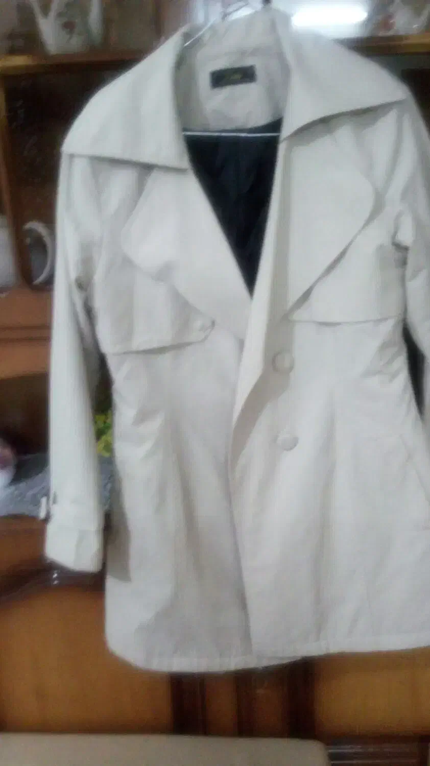 بارانی استردار|لباس|اردبیل, |دیوار