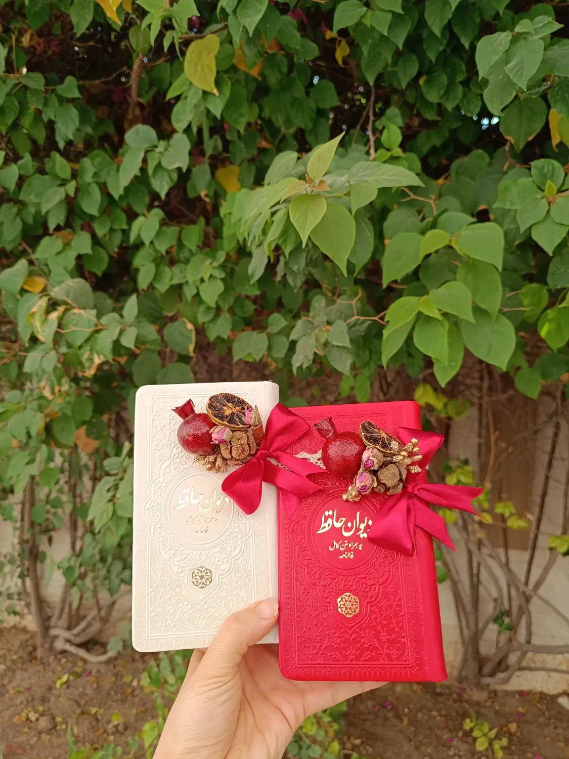 کتاب حافظ شب یلدا|کتاب و مجله ادبی|اهواز, زیتون کارمندی|دیوار