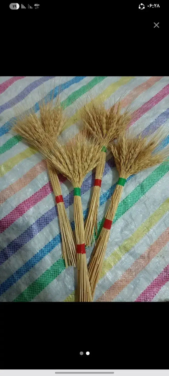 شاخه گندم|گل و گیاه طبیعی|یزد, |دیوار