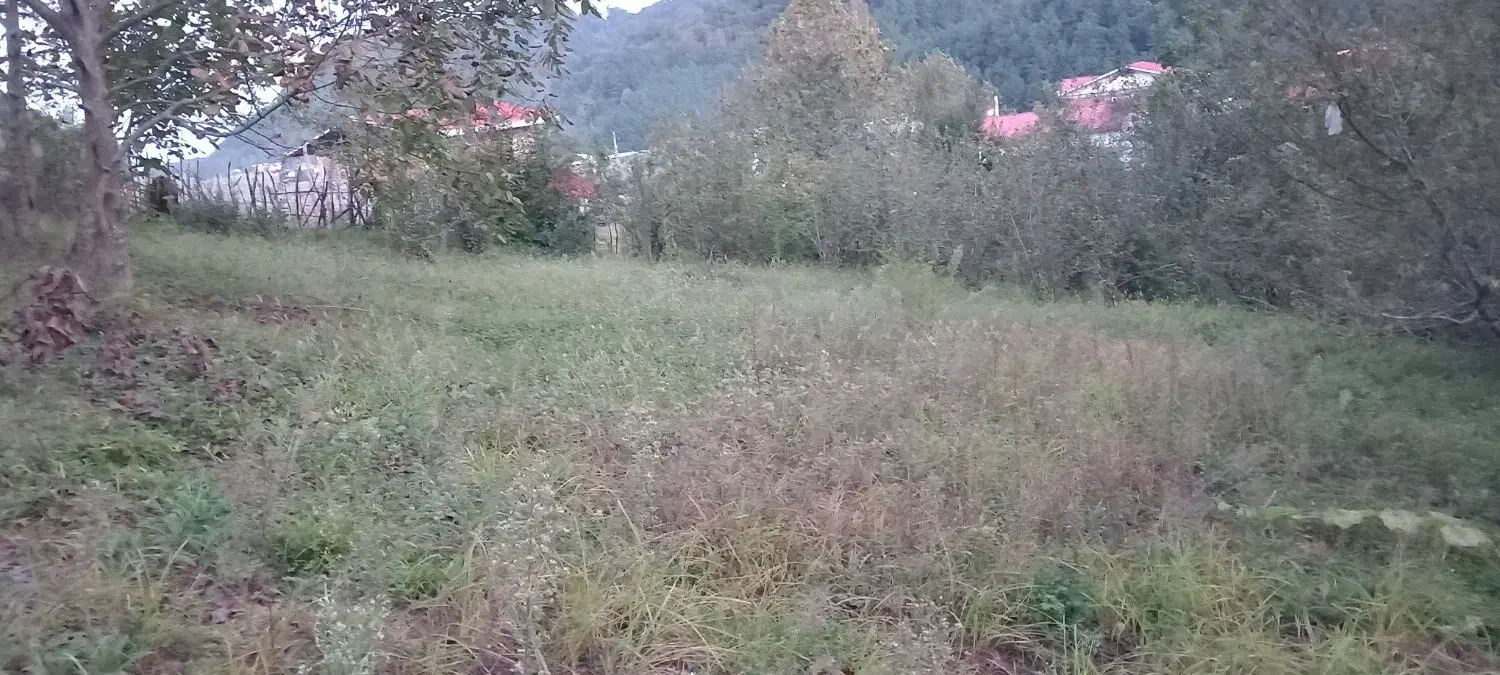 زمین به متراژ۱۷۰۰متربدون مدرک فقط نسق وفروشنامه|فروش زمین و ملک کلنگی|لوندویل, |دیوار