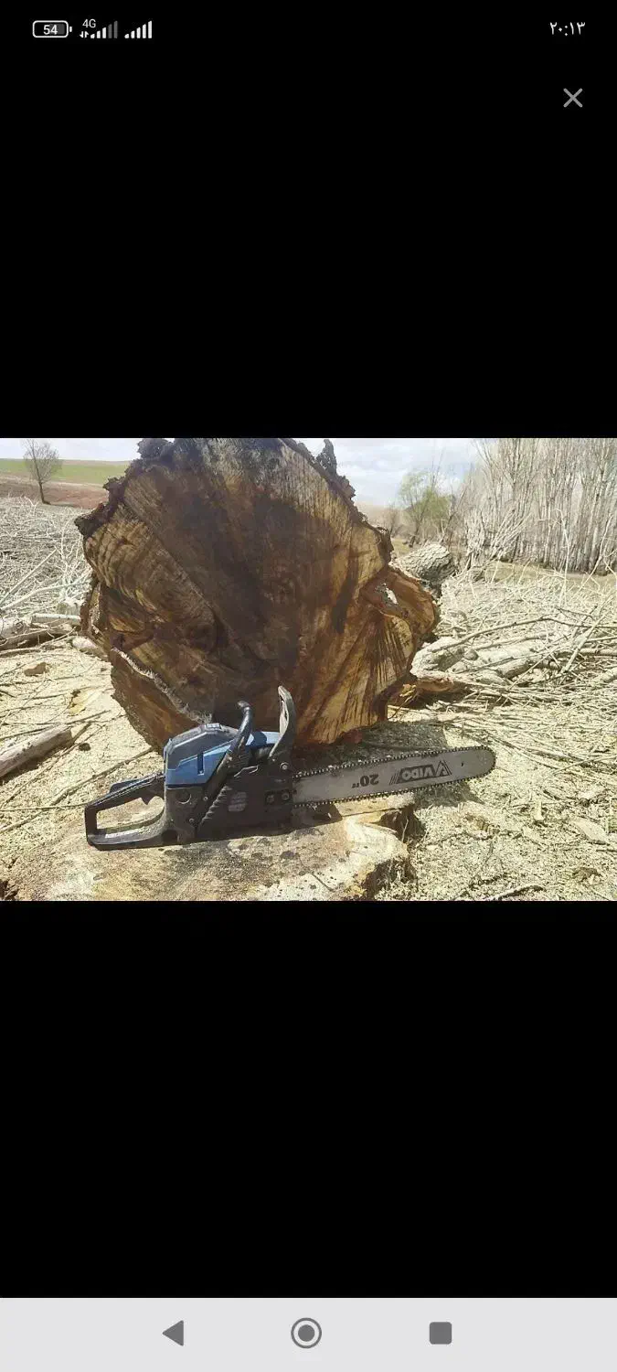 خریدار همه نوع درخت|خدمات باغبانی و درختکاری|مشگین شهر, |دیوار