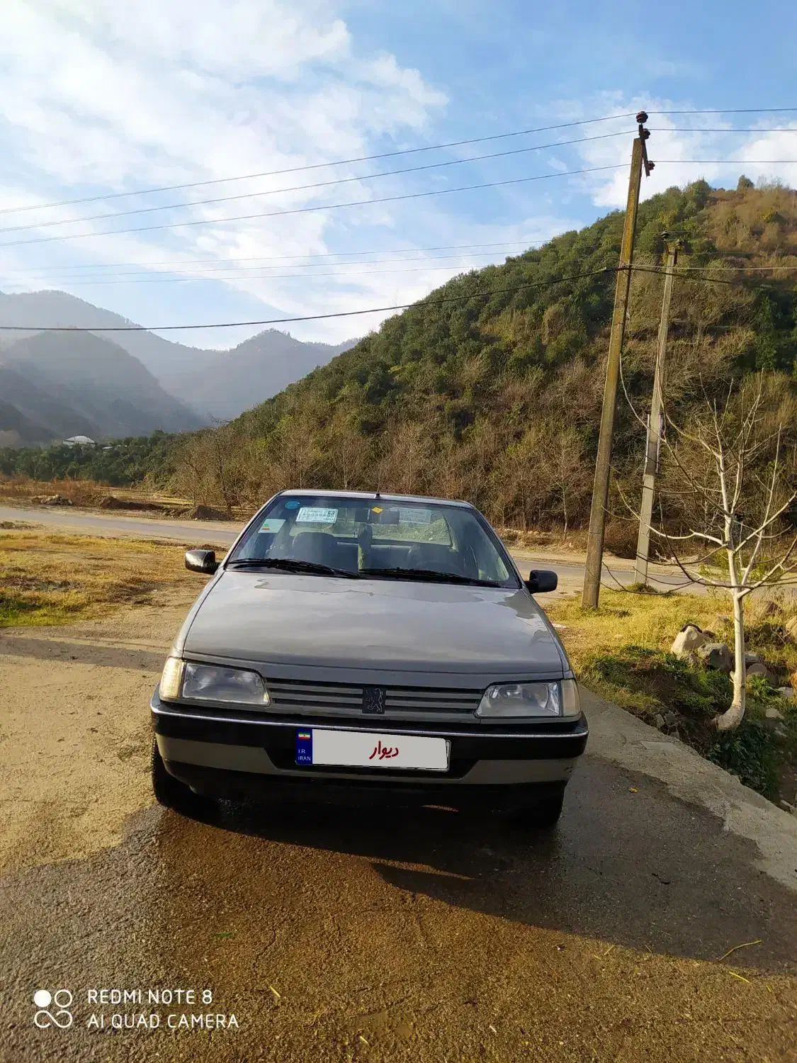 پژو آردی بیرنگ|خودرو سواری و وانت|رحیمآباد, |دیوار