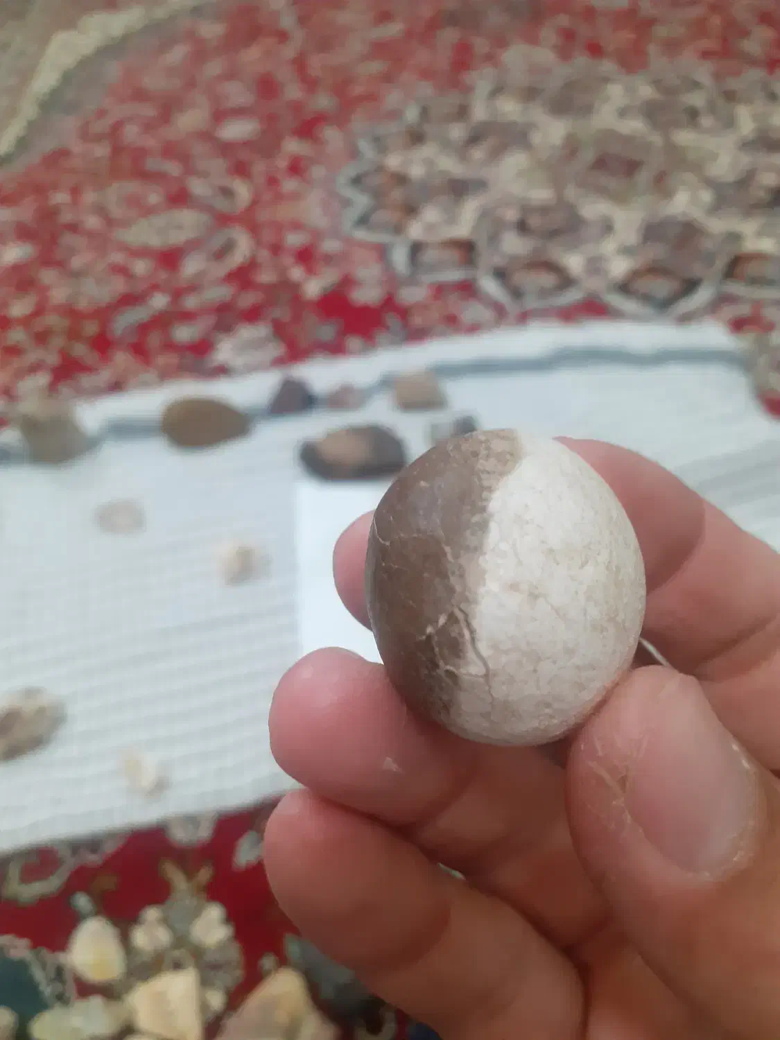 فروش سنگ زینتی آکواریم خام باقدرت معنوی و انرژی زا|ماهی|اشتهارد, |دیوار