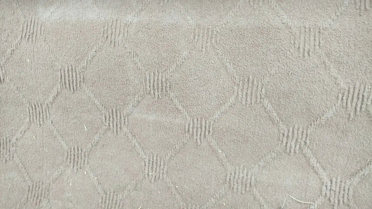 موکت سالم ۵ ملیون حدود ۴۰ متر|موکت|تربتحیدریه, پارک کاشانی|دیوار