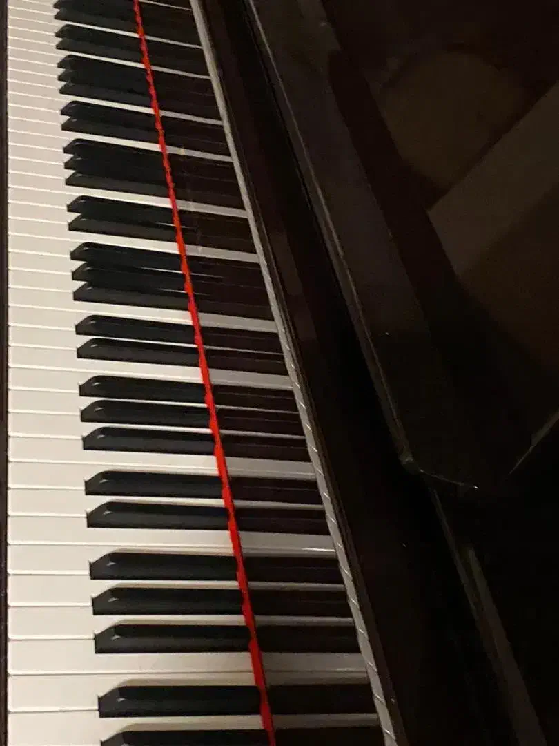 پیانو آکوستیک ۱۲۸|پیانو، کیبورد، آکاردئون|مشهد, رضاشهر|دیوار