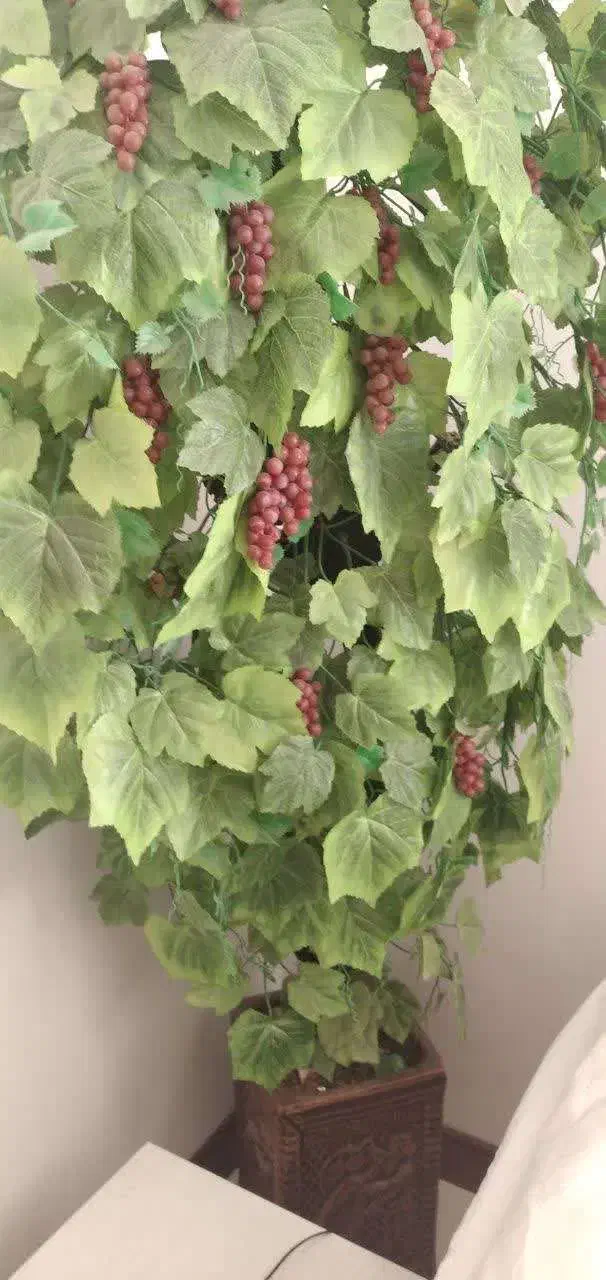درختچه انگور|گل مصنوعی|دزفول, |دیوار