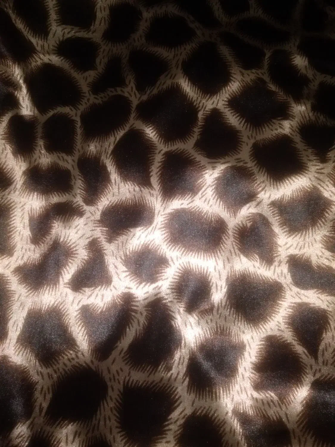 پارچه|لباس|اهواز, کوی مندلی(سه راه خرمشهر)|دیوار