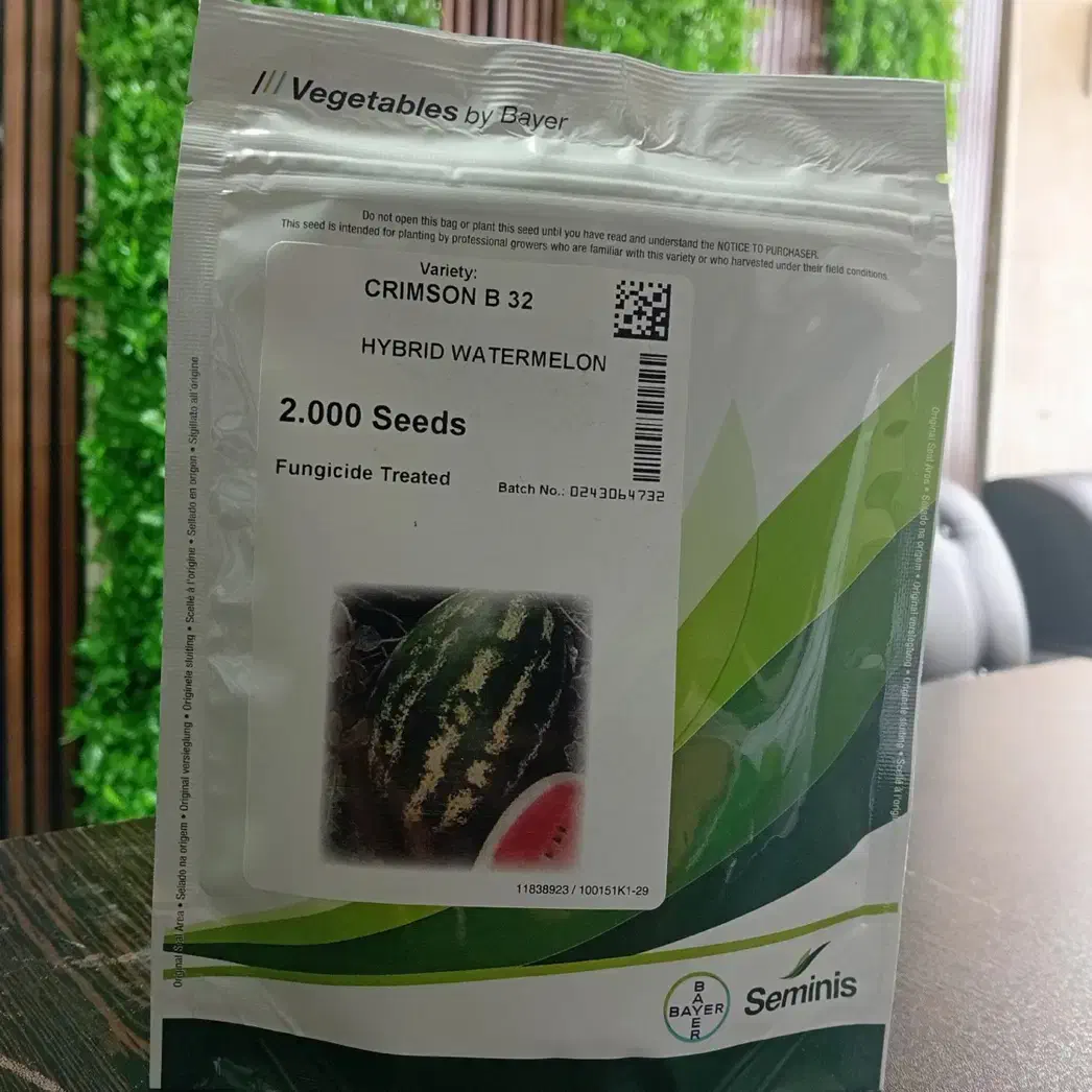 بذر خیار سمینیس اصل|خدمات باغبانی و درختکاری|اصفهان, بهارستان|دیوار