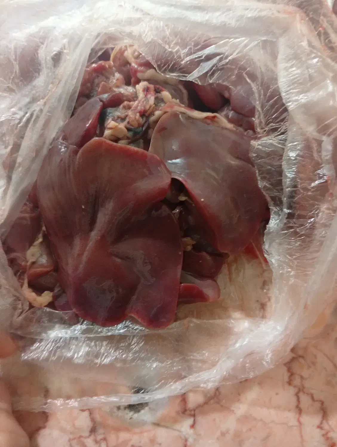 جگر تازه|حراج|سوسنگرد, |دیوار