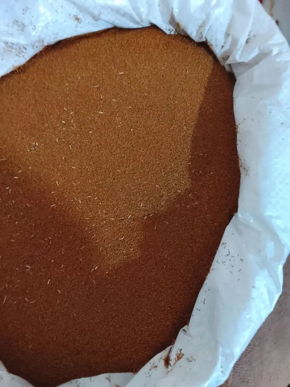 خاکشیر|خوردنی و آشامیدنی|شیراز, شهدای شهرک سعدی|دیوار