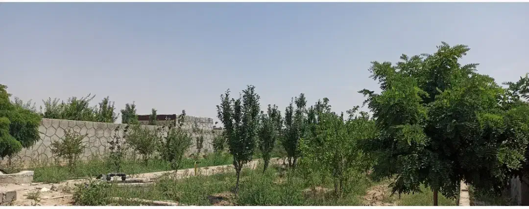 فروش باغ ۶۷۰ متری ۱ اتاق در اصفهان براآن شمالی|فروش خانه و ویلا|اصفهان, براآن شمالی|دیوار