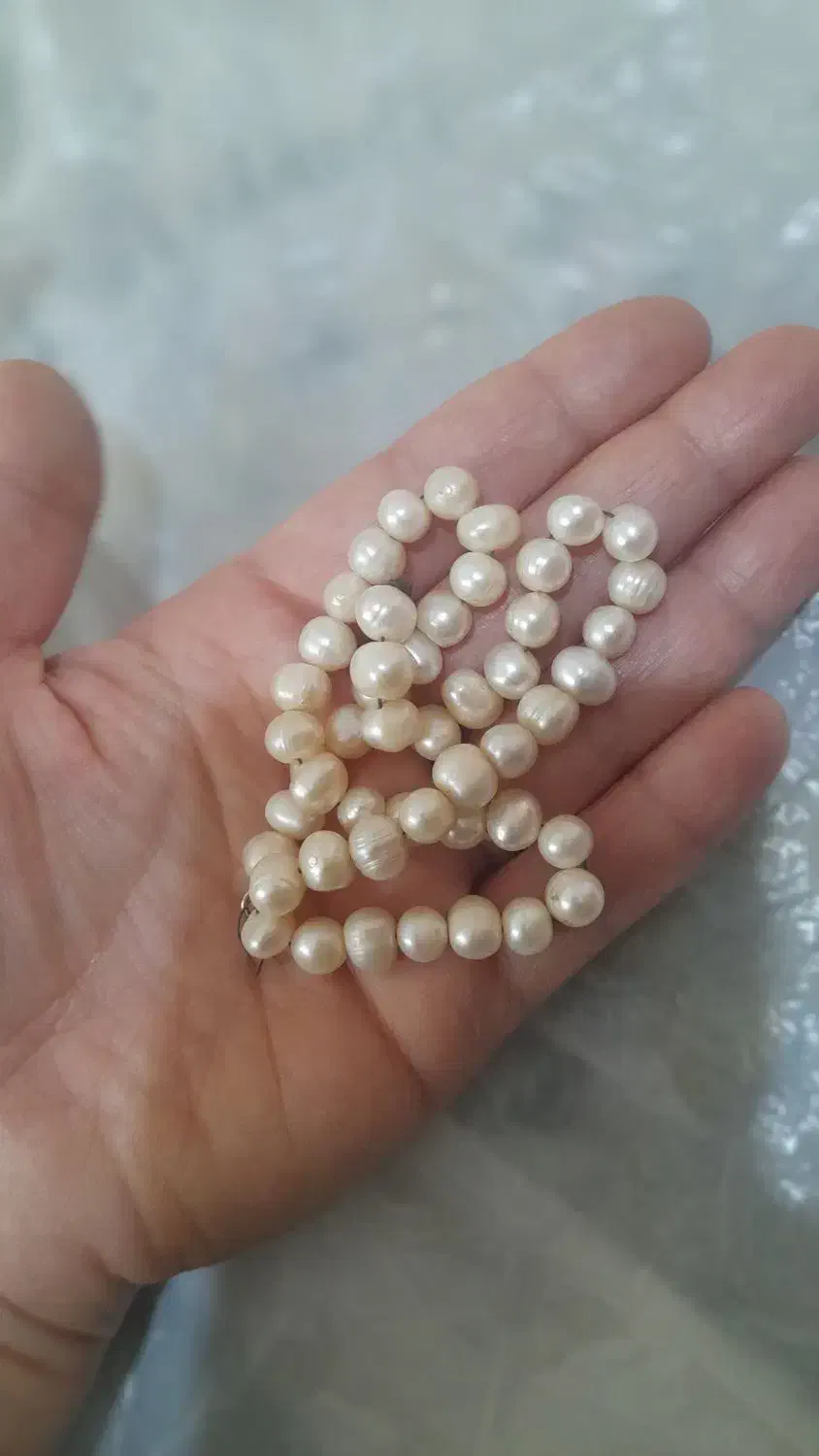 گردنبند مروارید اصل هست|بدلیجات|شهریار, شهرک مصطفی خمینی|دیوار