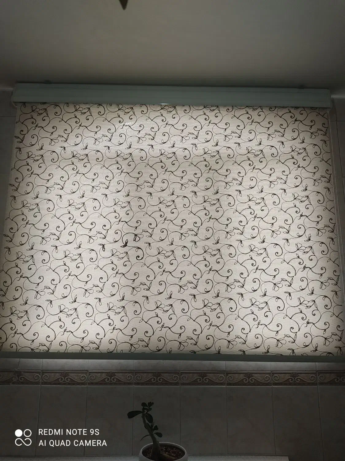 پرده|پرده، رانر، رومیزی|شاهرود, |دیوار