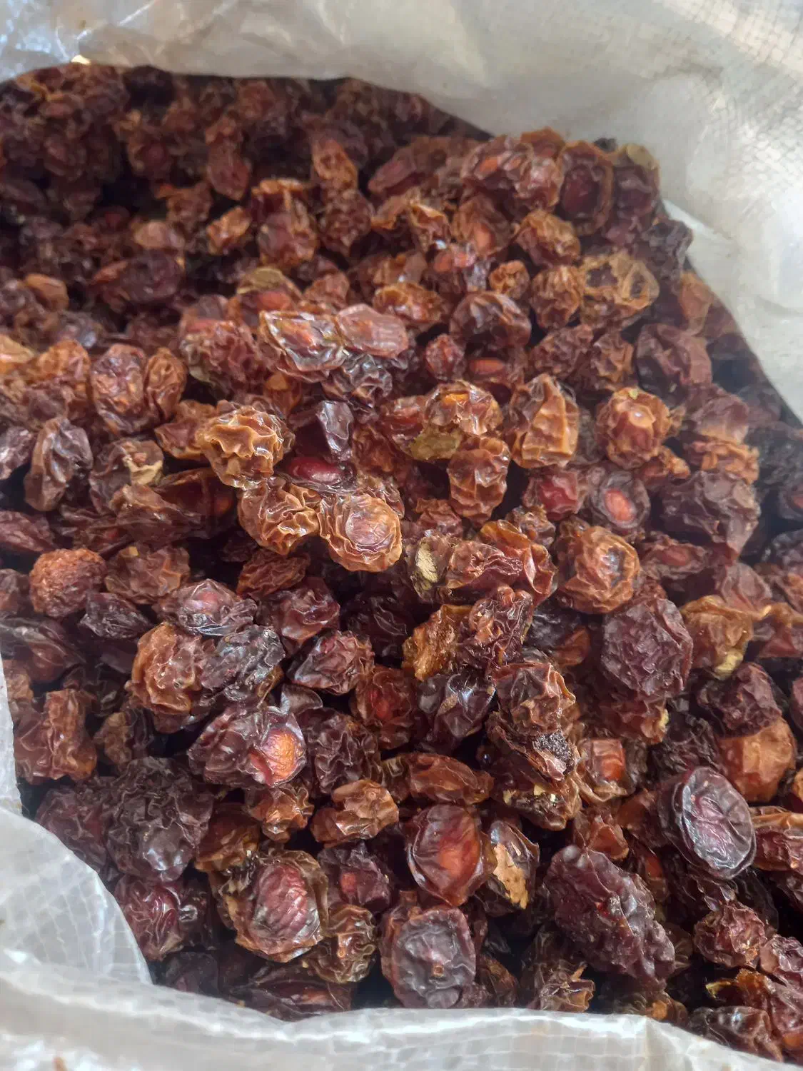 آلوچه|عمدهفروشی|صمصامی, |دیوار