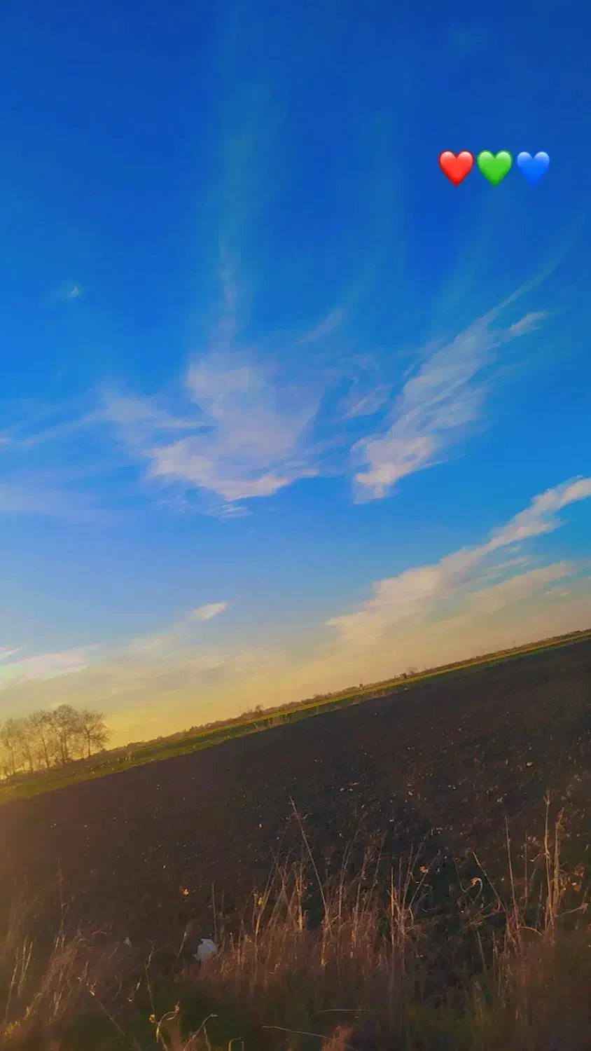 خریدار|خودرو سواری و وانت|آزادشهر, |دیوار