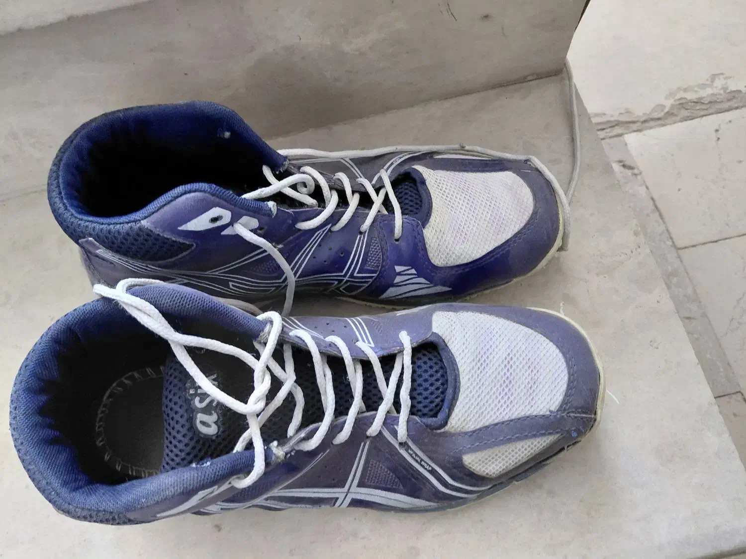 کفش والیبال ورزشی|کیف، کفش، کمربند|بم, |دیوار