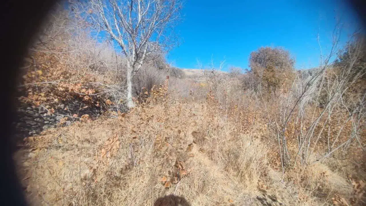 وشنوه (700متر زمین فندق در هده رود)قابل معاوضه|فروش زمین و ملک کلنگی|قم, سالاریه|دیوار