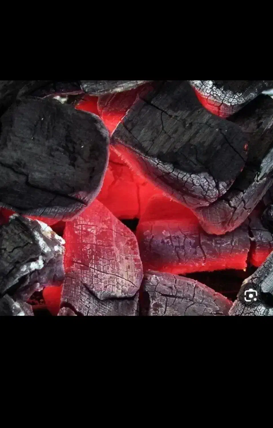 زغال۶۵۰|عمدهفروشی|باغ ملک, |دیوار