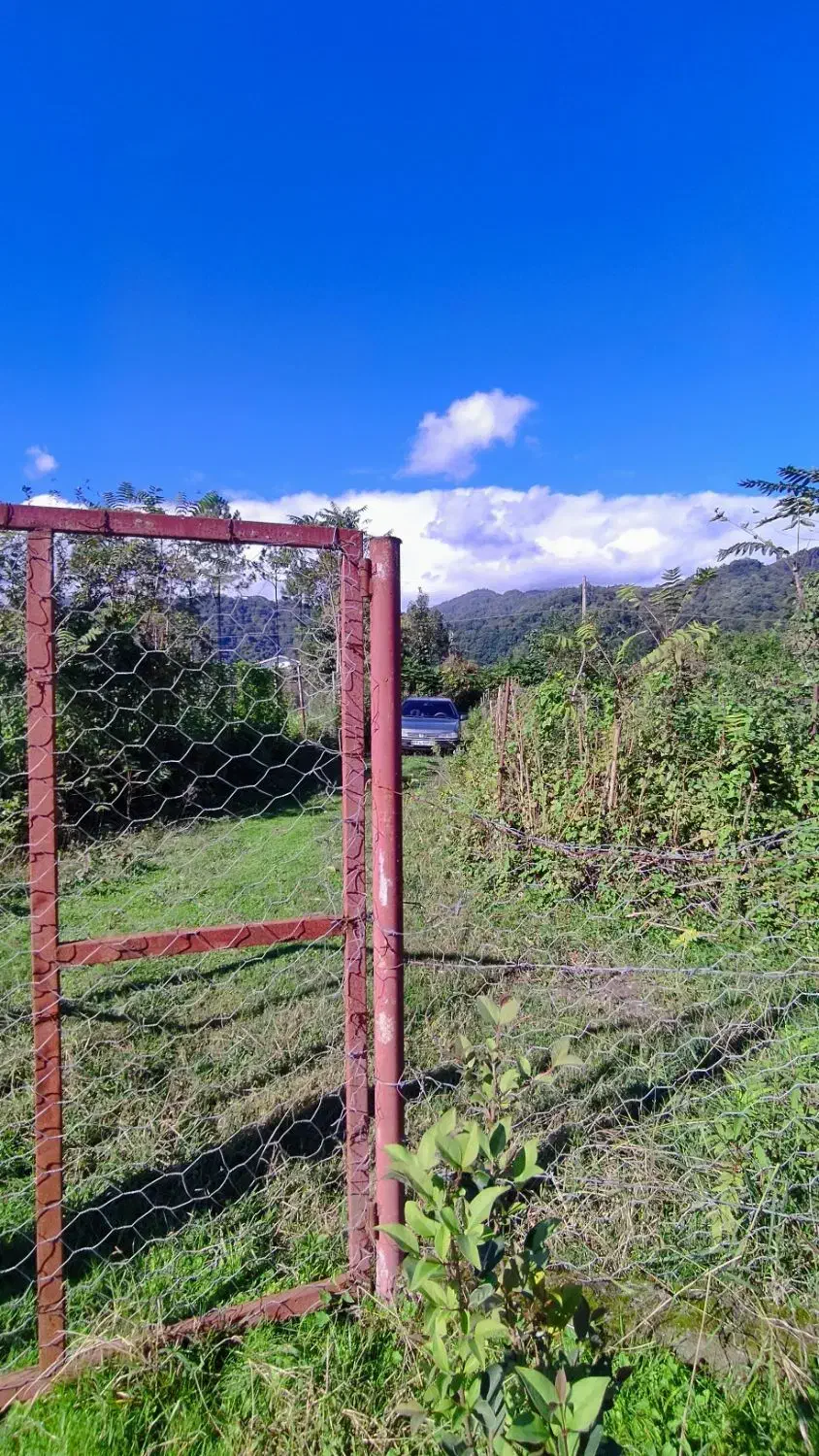 ۷۰۰ متر خانه و محوطه|فروش خانه و ویلا|لیسار, |دیوار