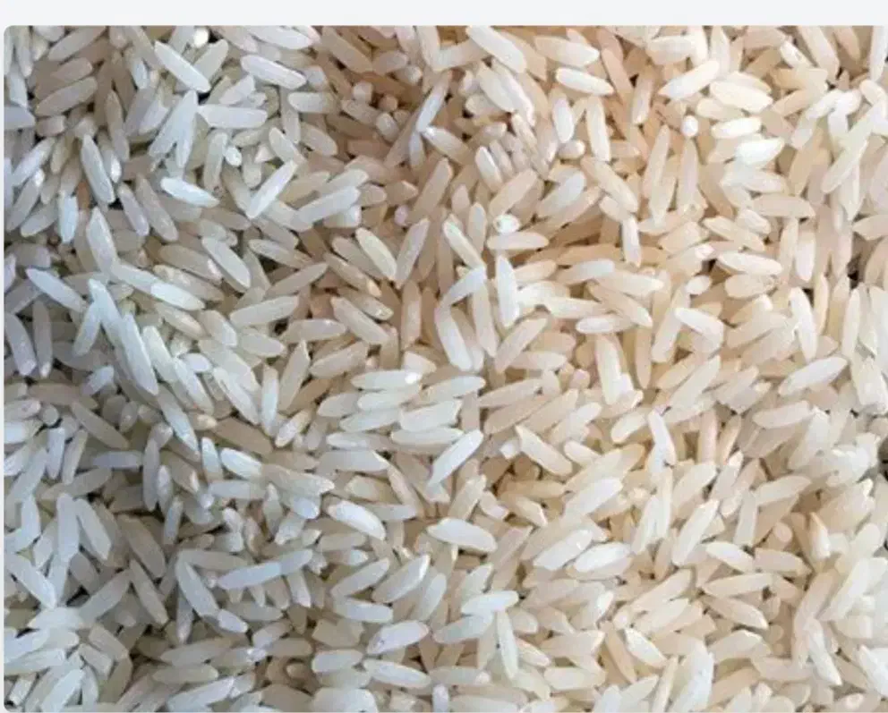 برنج پیش فروش|خوردنی و آشامیدنی|دورود, |دیوار