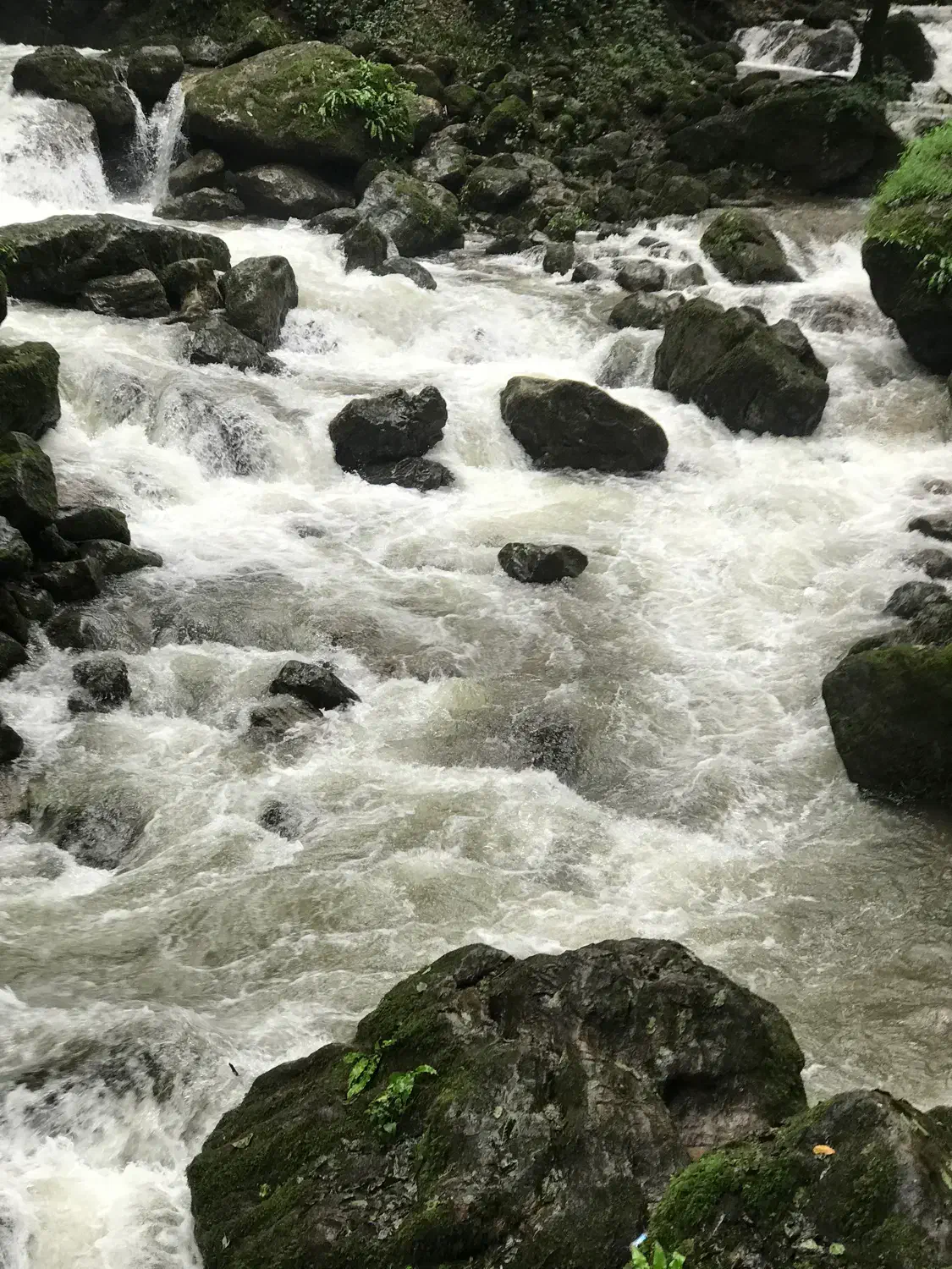 شمال گردی ۲۵ مهر|تور و چارتر|کرمان, |دیوار