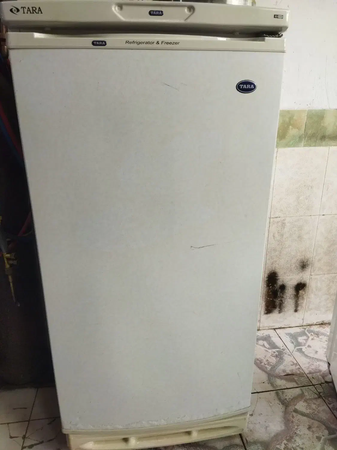 یخچال معمولی تارا|یخچال و فریزر|اشنویه, |دیوار