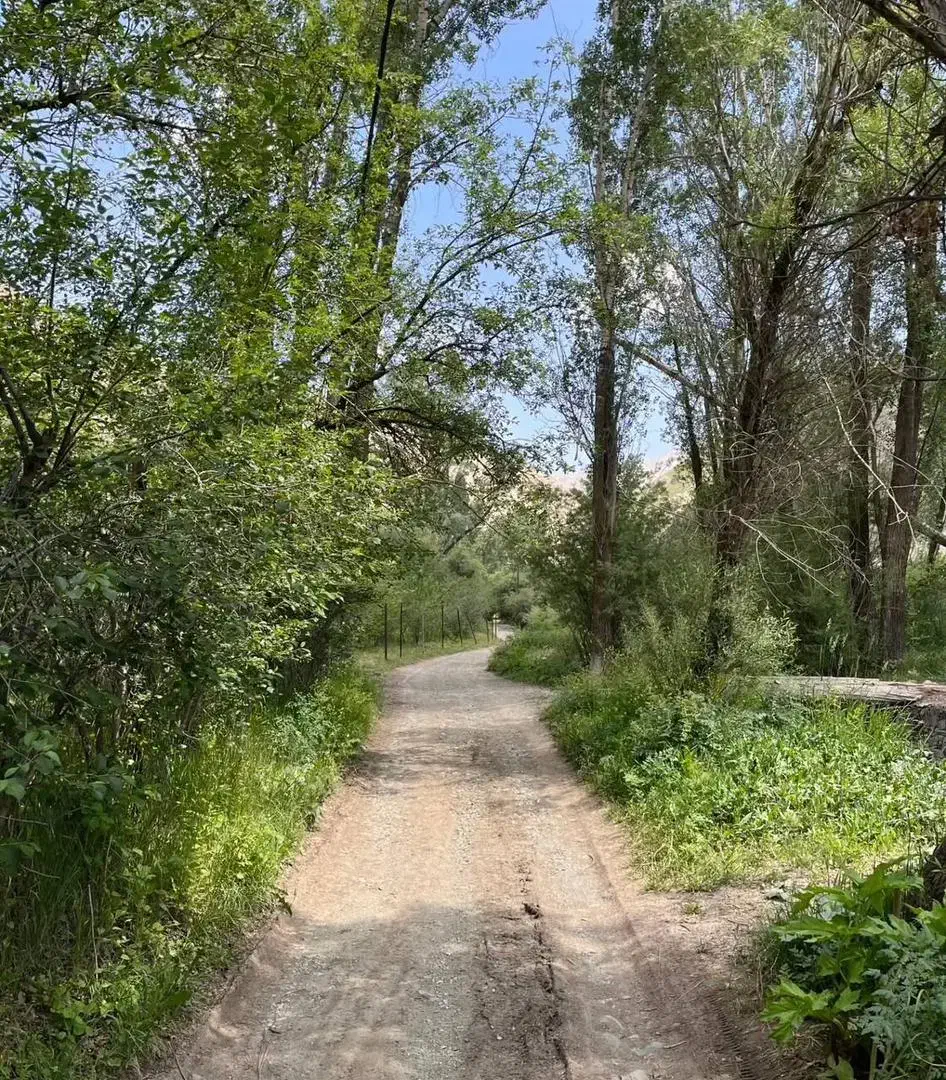 باغ میوه ۴۹۵ متر|فروش زمین و ملک کلنگی|بلده, |دیوار