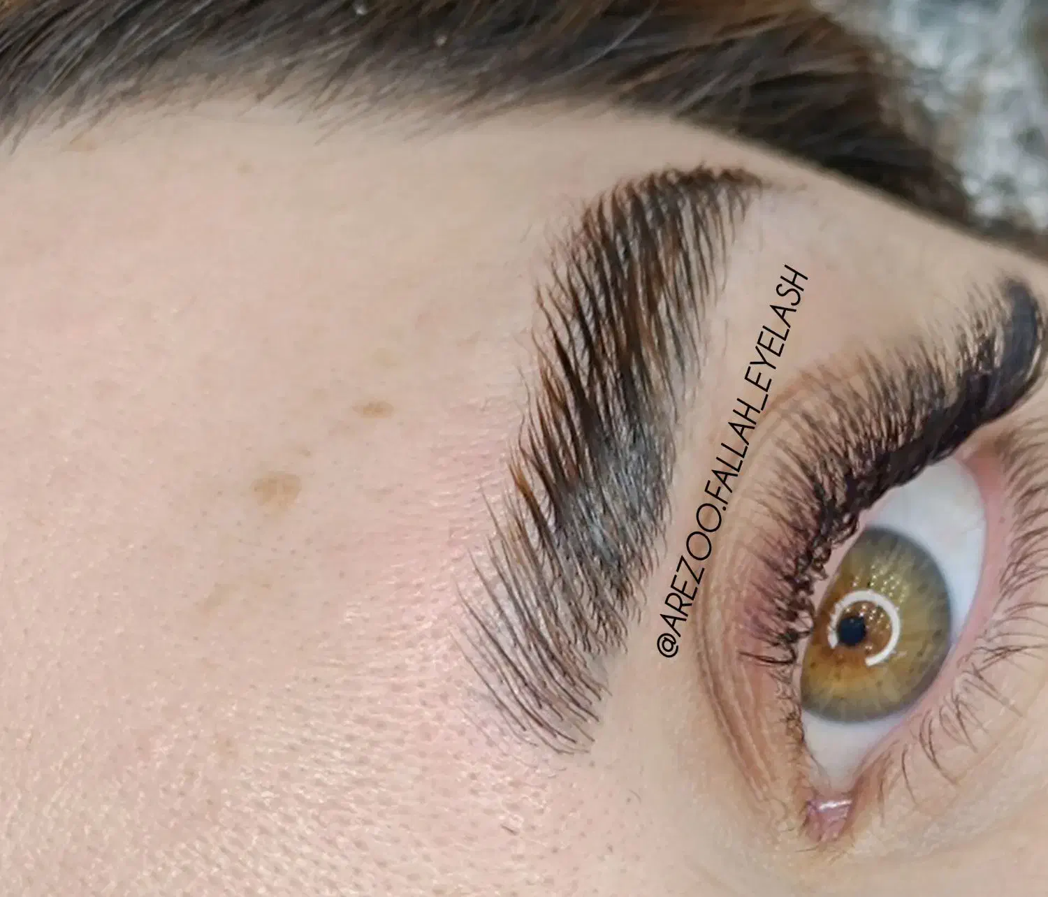 اکستنشن مژه و لیفت ابرو|خدمات آرایشگری و زیبایی|شیراز, پودنک|دیوار