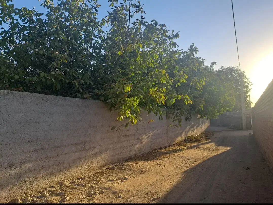 باغ ویلا ۸۰۸ متری در ورده ساوه|فروش خانه و ویلا|زرندیه, |دیوار