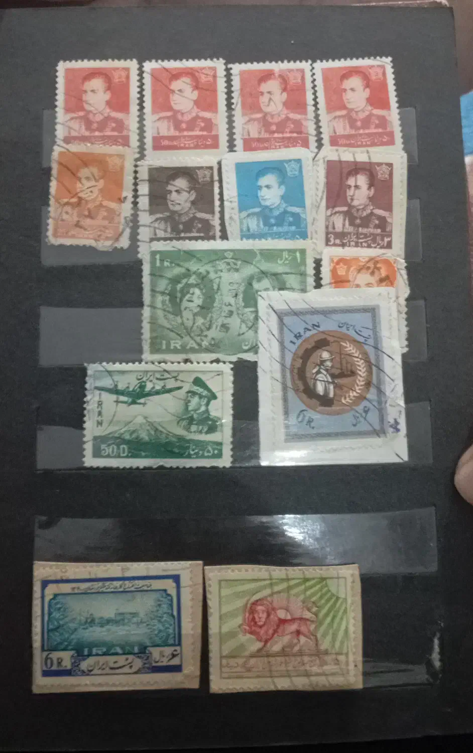 آلبوم عکسهای تمر شاهی|کلکسیون سکه، تمبر، اسکناس|پلدختر, |دیوار