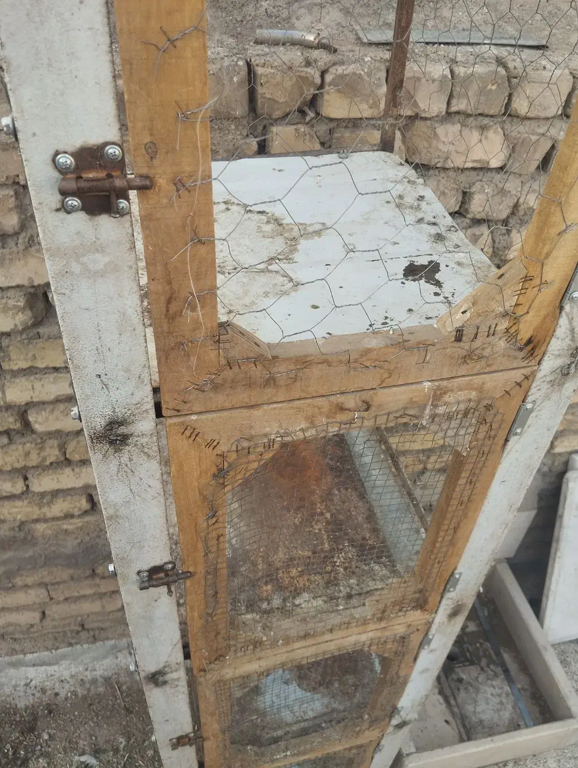 قفس کفتر 4تبق|پرنده|برخوار, |دیوار