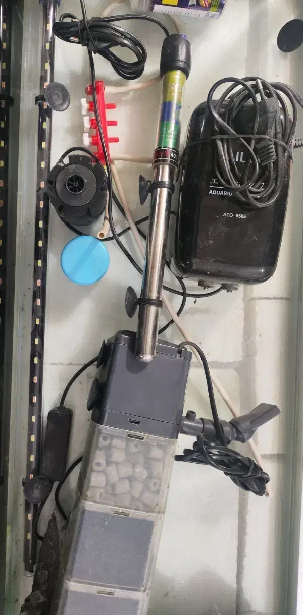 لوازم آکواریوم|ماهی|گلستان (تهران), |دیوار