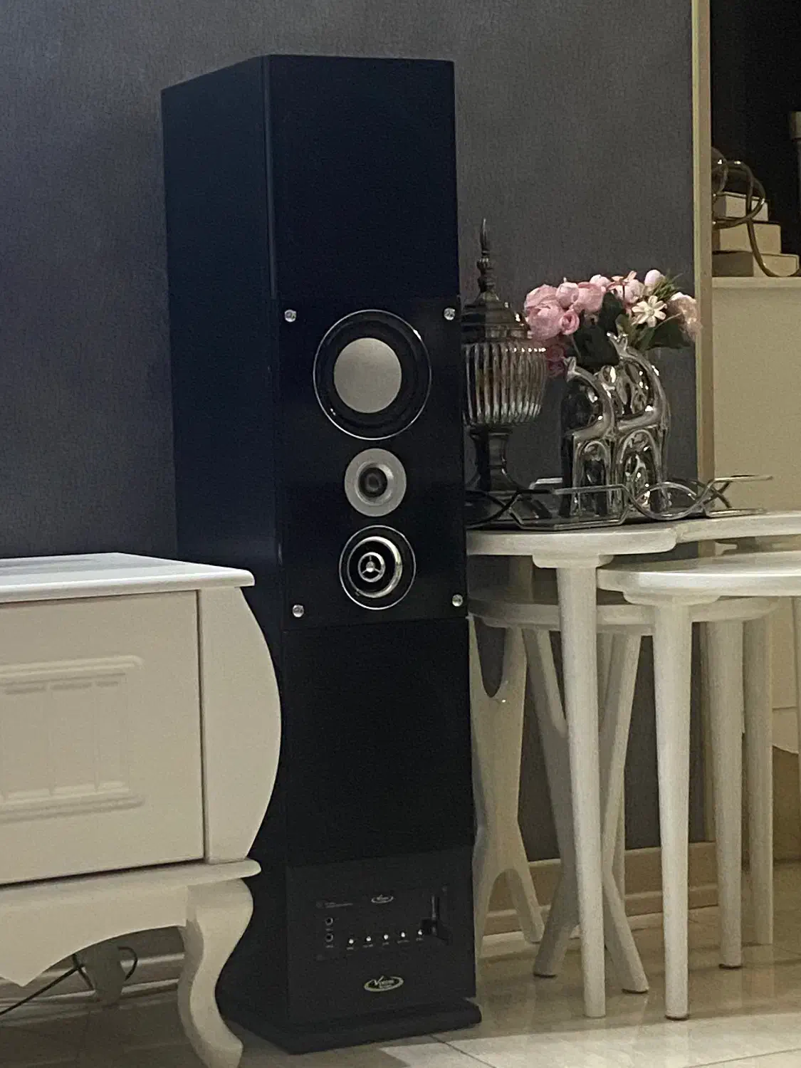 اسپیکر دوقلو خانگی ونوس|سیستم صوتی خانگی|شهرکرد, |دیوار